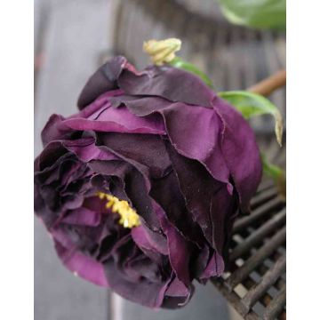 Artificial cabbage rose TAYNARA, dark purple, 20"/50cm, Ø3.5"/9cm