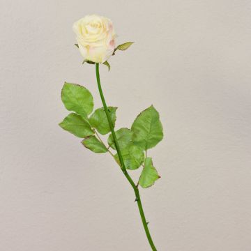 Artificial rose OPHELIE, cream-pink, 33"/85cm, Ø2.8"/7cm Artificial rose OPHELIE, cream-pink, 33"/85cm, Ø2.8"/7cm