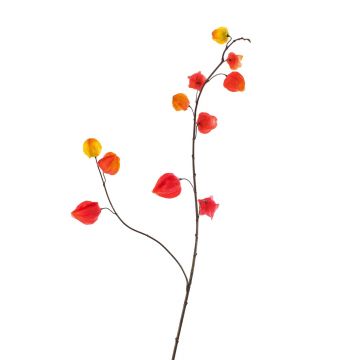 Artificial physalis branch MARCY, fruits, red-orange, 3ft/95cm