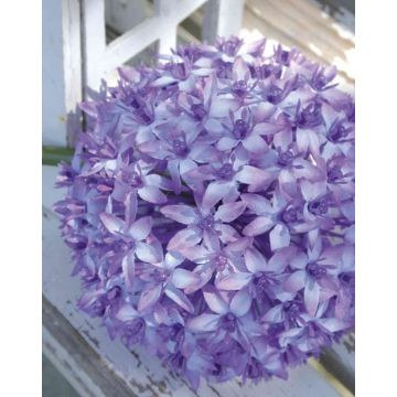 Artificial allium flower LIECHA, purple, 31"/80cm, Ø5.5"/14cm