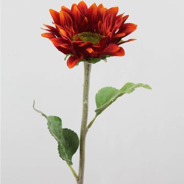 False sunflower MARIETTA, red, 24"/60cm, Ø5.5"/14cm