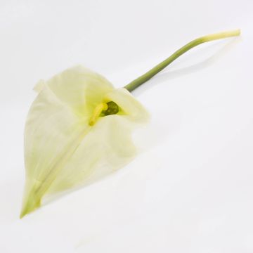 Silk calla CRISTINA, white-green, 3ft/105cm, 5.5"x11"/14x27cm