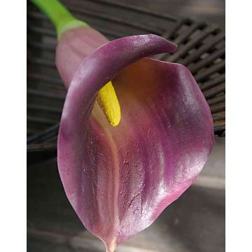 Artificial calla lily TALEA, purple, 26"/65cm, 3.5"x4.3"/9x11cm