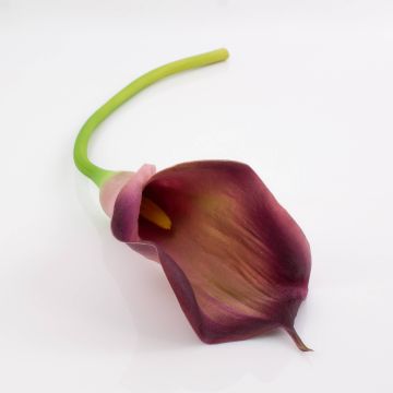 Silk calla TERESA, violet, 28"/70cm, 4"x7"/10x18cm