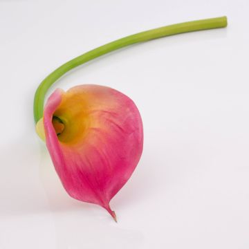 Silk calla TERESA, pink-yellow, 28"/70cm, 4"x7"/10x18cm