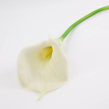 Silk calla TERESA, cream, 28"/70cm, 4"x7"/10x18cm