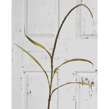 Artificial shortawn foxtail WILLY with panicles, green-brown, 3ft/105cm