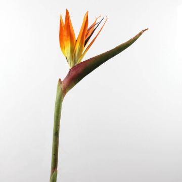 Fake bird of paradise flower CHAYA, orange-violet, 3ft/95cm, Ø7"x9"/17x24cm