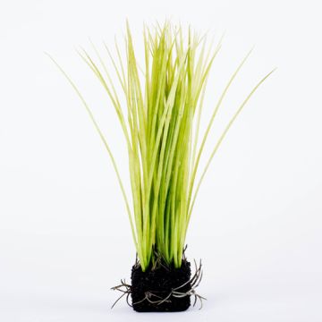 Plastic reed grass WILLHELM in soil ball, green, 10"/25cm