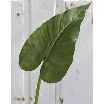 Artificial calla leaf FRANSCHESKA, green, 28"/70cm
