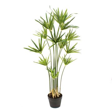 Plastic cyperus papyrus grass ZAHIR, green, 6ft/180cm