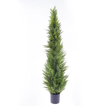 Fake Cedar HENRIETTE, in a planter, green, 5ft/150cm