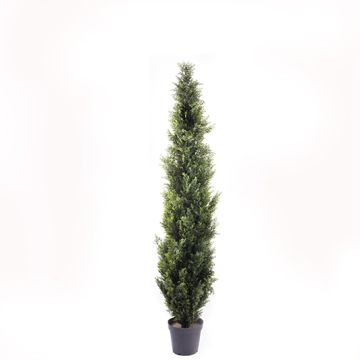 Fake Cedar HENRIETTE, in a planter, green, 6ft/180cm