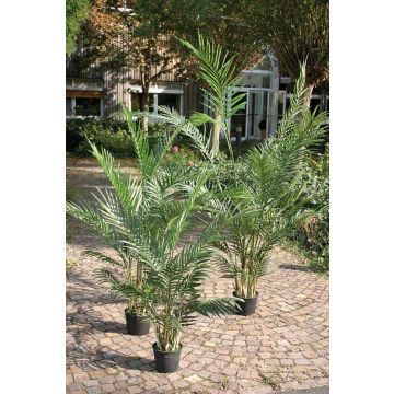 Artificial Areca palm BONNY, 3ft/90cm