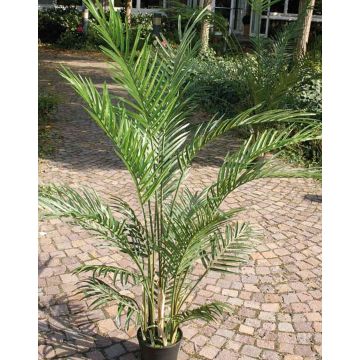 Artificial Areca palm BONNY, 5ft/150cm