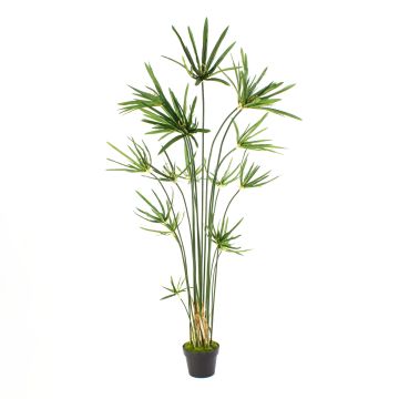 Plastic cyperus papyrus grass SASINA, green, 5ft/150cm