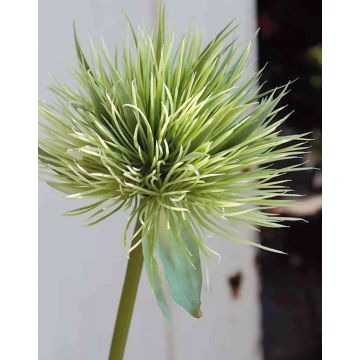 Artificial cotton grass panicle ZORO, white-green, 33"/85cm
