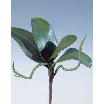Artificial leaves Phalaenopsis orchid DORTE, aerial roots, 8.7"x11"/22x28cm