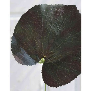 Artificial geranium leaf HEIDEGARD, green-red, 15"/38cm, Ø5.5"/14cm