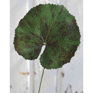 Artificial Geranium Leaf HEIDEGARD, green-red, 15"/38cm, Ø5.1"/13cm