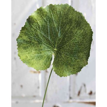 Artificial Geranium Leaf HEIDEGARD, green, 15"/38cm, Ø5.1"/13cm