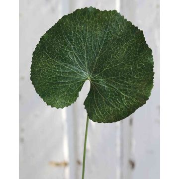 Artificial Geranium Leaf HEIDEGARD, green, 15"/38cm, Ø4.3"/11cm