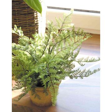 Artificial Boston fern MARGARETA, in decorative pot, 10"/25cm, Ø12"/30cm