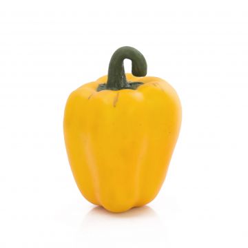 False pepper PETER yellow, 4.3"/11cm, Ø 2.8"/7cm