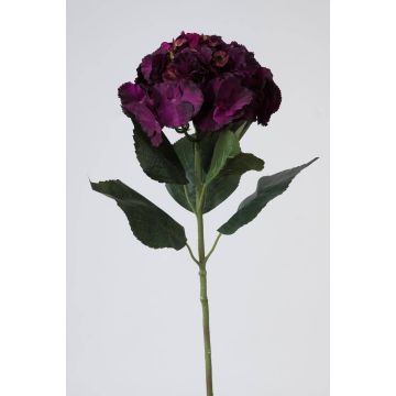 False hydrangea ANGELINA, dark violet, 28"/70cm, Ø9"/23cm