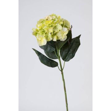 False hydrangea ANGELINA, cream-green, 28"/70cm, Ø9"/23cm