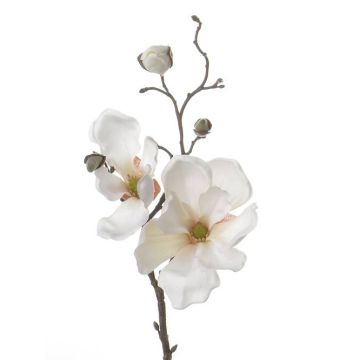 Artificial magnolia spray MALBINE, cream, 20"/50cm, Ø2.4"-4"/6-10cm