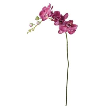 Phalaenopsis orchid artificial stem AMARNE, fuchsia , 3ft/90cm