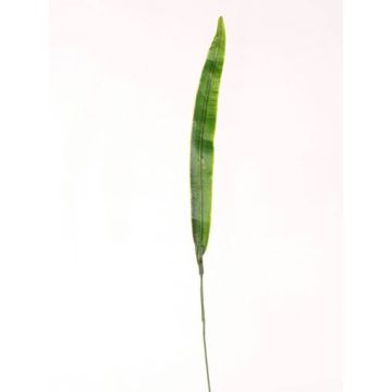 Artificial gladiola leaf JUNO, green, 16"/40cm