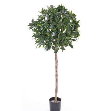 Fake Laurel tree ALEXIOS, real stem, fruits, 6ft/175cm, Ø 28"/70cm