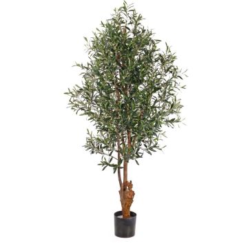 Artificial olive tree FINLOR, real trunk, with fruits, crossdoor, 6ft/170cm