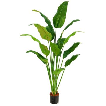 Artificial banana plant ARTAX, 6ft/180cm