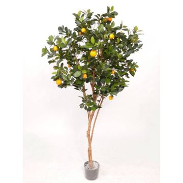Artificial Mandarin tree MITRA, real stems, with fruits, 6ft/180cm