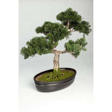 Plastic Bonsai Cedar JARNO, aerial roots, decorative planter, 16"/40cm
