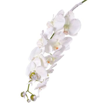 Artificial phalaenopsis NALANI, with snow, white, 31"/80cm, Ø3.1"-4"/8-10cm