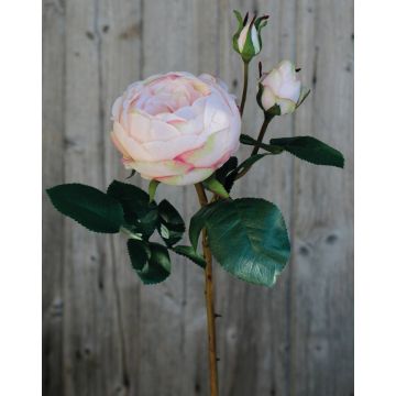 Artificial Cabbage Rose MIRETTA, pink-green, 24"/60cm, Ø1.2"-3.5"/3-9cm