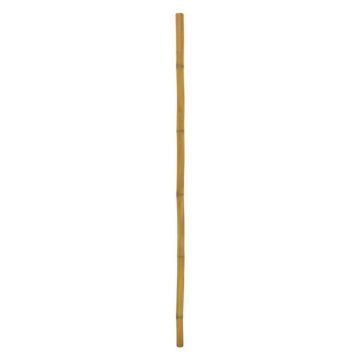 Plastic Bamboo cane CHIYOKO, brown, 7ft/200cm, Ø 2"/5cm