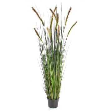 Artificial foxtail grass ANAELLA with panicles, green, 5ft/150cm