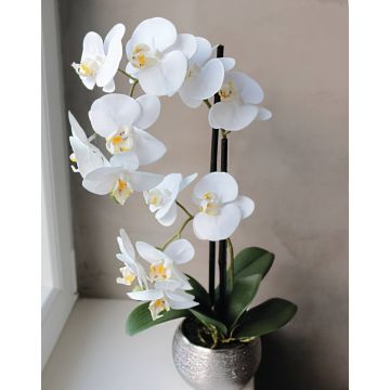 Artificial orchid Phalaenopsis EMILIA, decorative pot, white, 20"/50cm