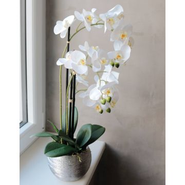 Artificial orchid Phalaenopsis EMILIA, decorative pot, white, 26"/65cm