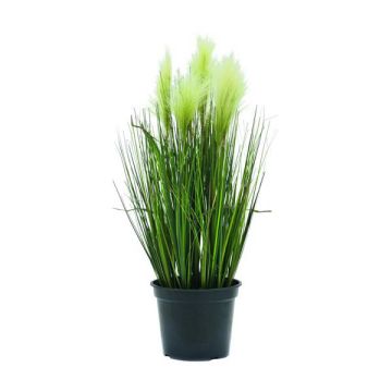Plastic pampas grass TIMEA with panicles, green, 24"/60cm