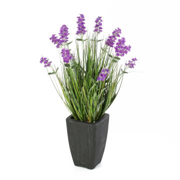 Plastic lavender FELICITAS in decorative pot, purple, 18"/45cm, Ø1.2"/3cm