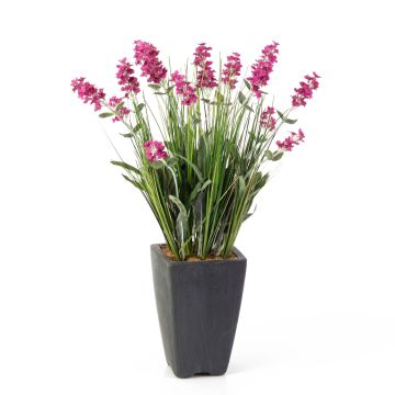 Plastic lavender FELICITAS in a decorative pot, pink, 18"/45cm, Ø1.2"/3cm