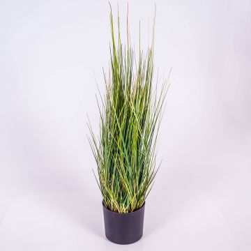 Silk reed grass SUSANNE, green-yellow-brown, 24"/60cm