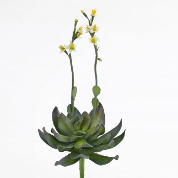 Plastic aeonium CHARLIZE with flowers, spike, yellow, 12"/30cm