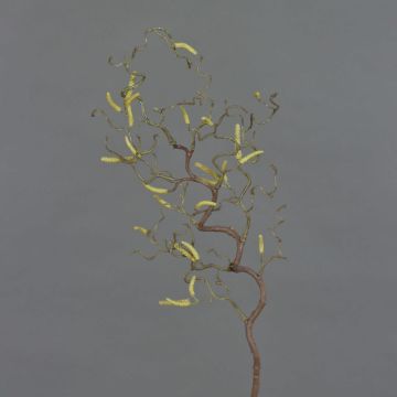 Artificial Hazelnut spray XANCHO, with catkins, brown, 26"/65cm